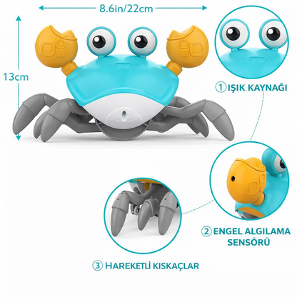 Funimo Yürüyen Yengeç™ – Emeklemeye Teşvik Eden Oyuncak